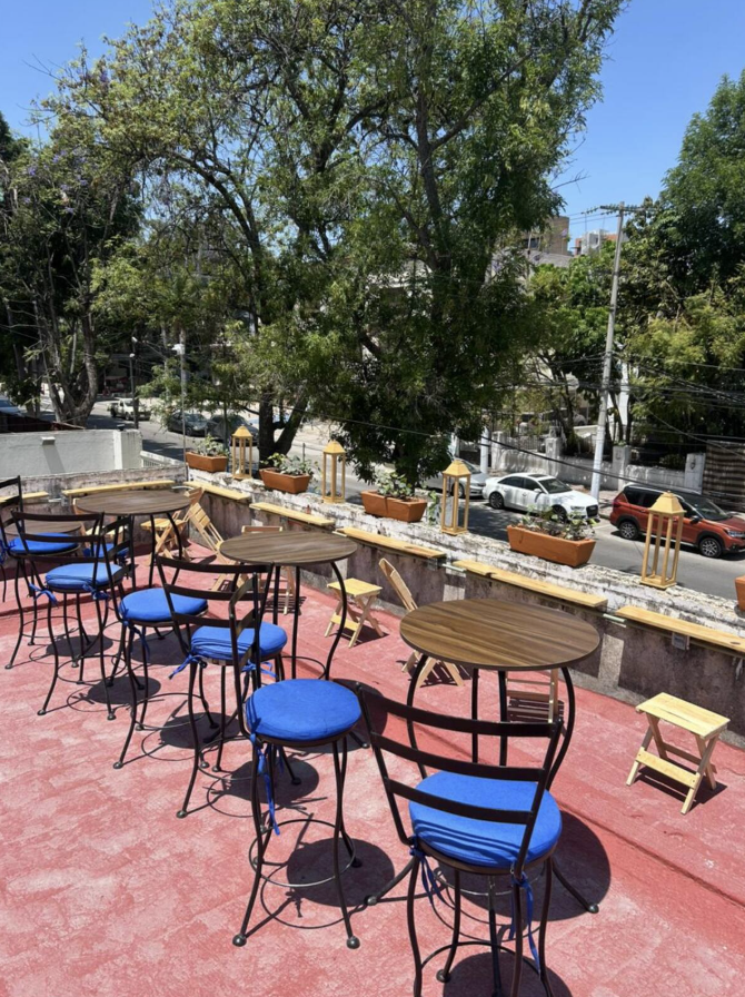 Detalle del jardín, plantas y vegetación